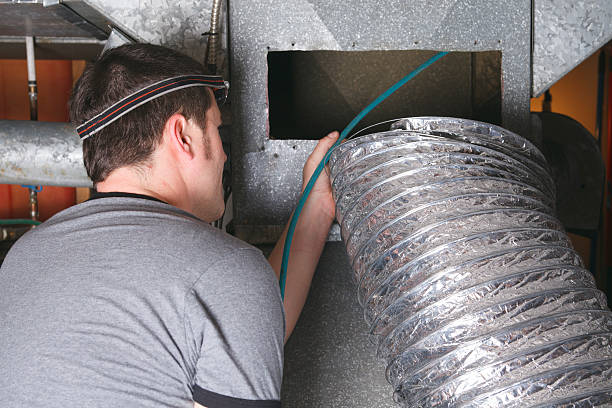 Air Duct Mold Removal in VA